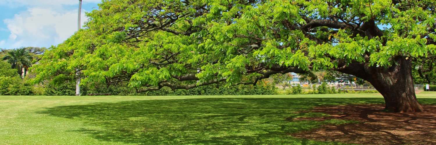 aifisncia's profile banner image