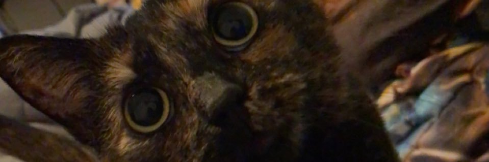 mildlyalex's profile banner image
