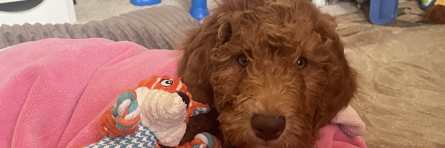 mursefocker88's profile banner image