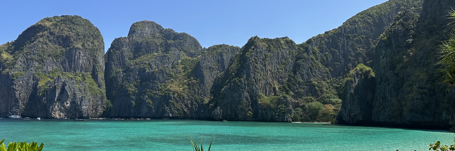 nicocarpena's profile banner image