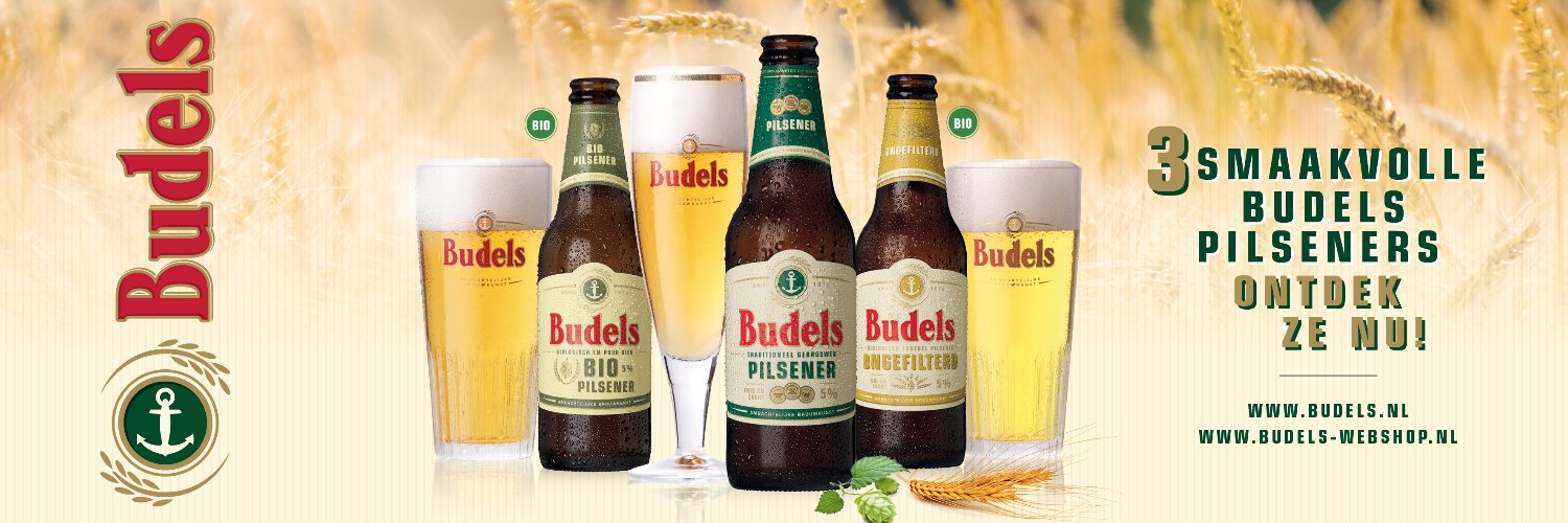 budelsebieren's profile banner image