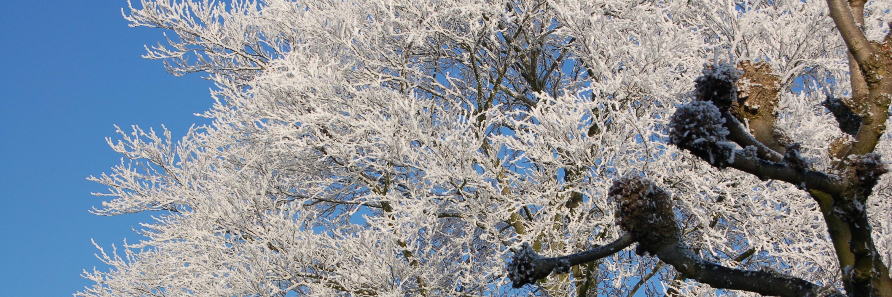 NLFOTOcom's profile banner image