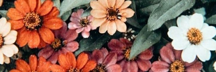 vanelc95's profile banner image