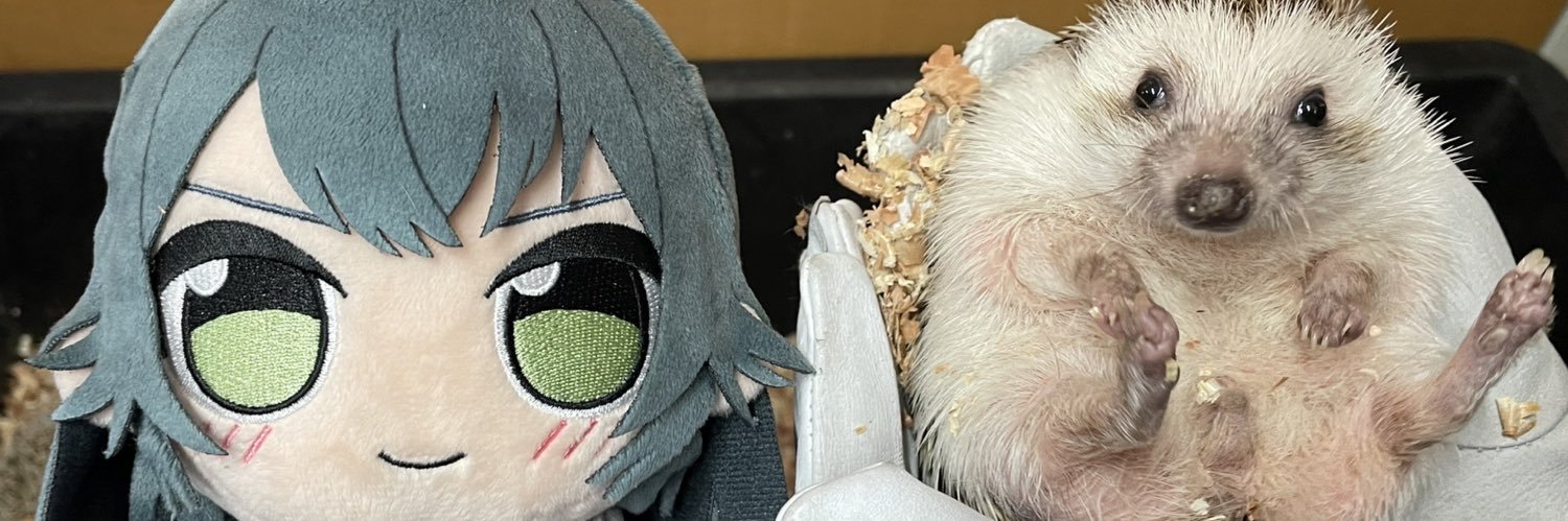 しっきー banner