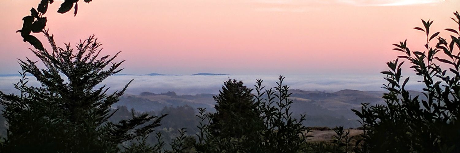 PhotoLina's profile banner image