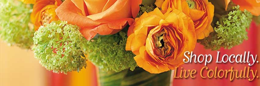 TimminsFlowers's profile banner image