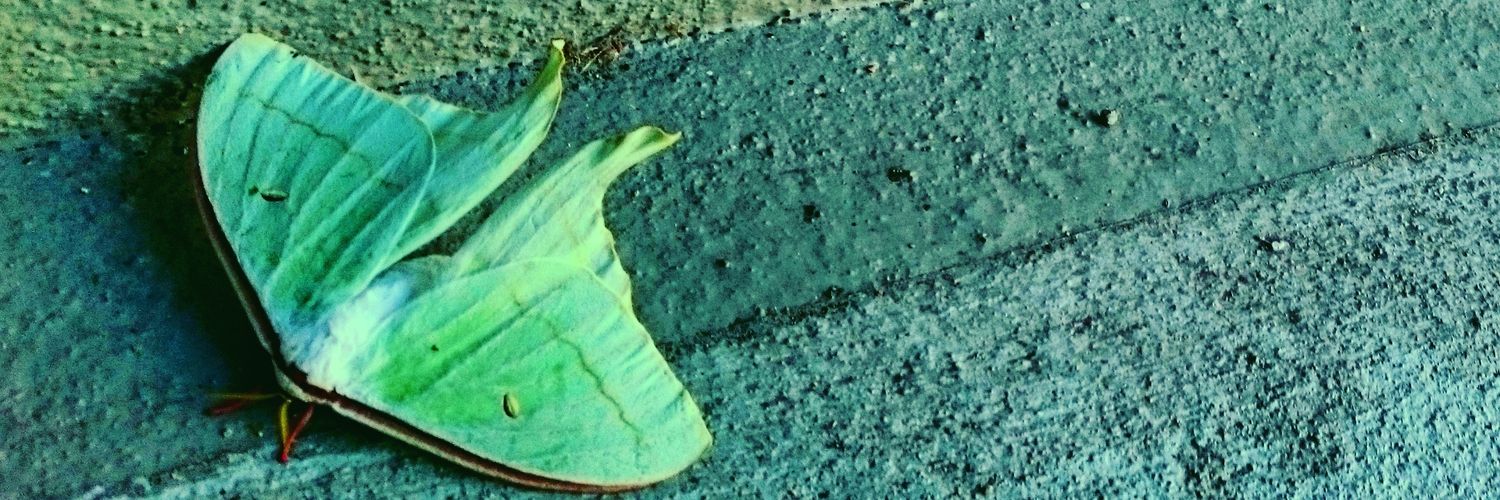 ryoya0825's profile banner image
