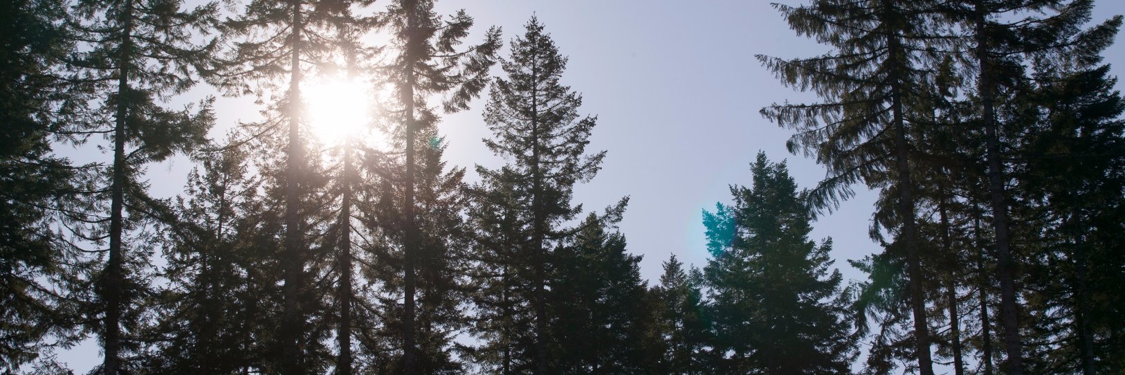 portblakely's profile banner image