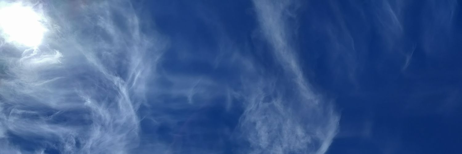 tpieniak's profile banner image