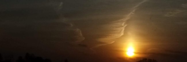 pheonixaribeth's profile banner image