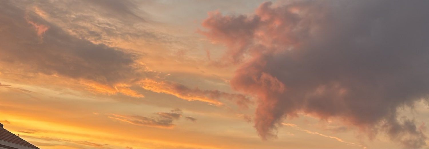 oykunotu's profile banner image