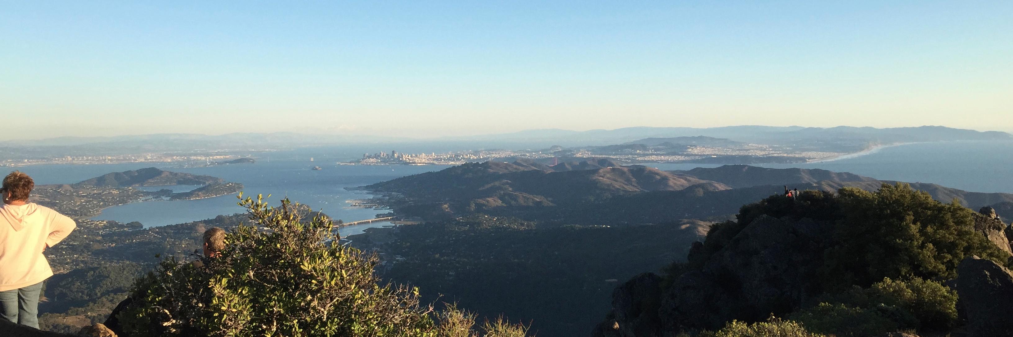 Stuart McLeod banner