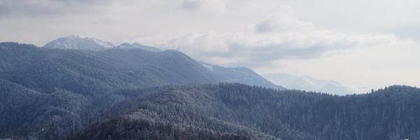 JefEnergy Profile Banner