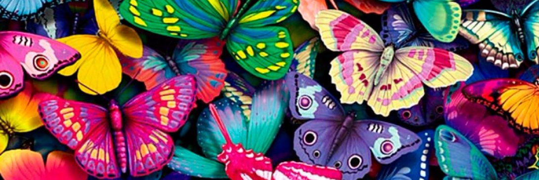 gleibis70's profile banner image