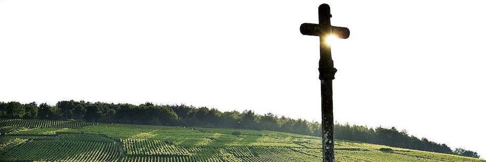 Pere Piñol Simó banner