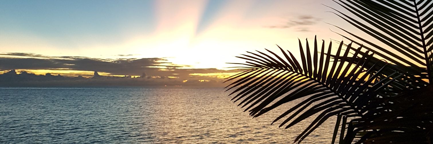 Maldives Specialist Travel Agent. banner