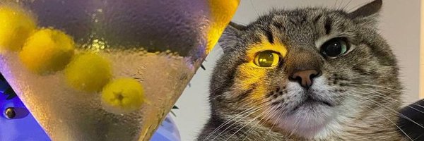 ClatchardCraig Profile Banner