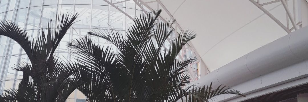 Twinhflame's profile banner image