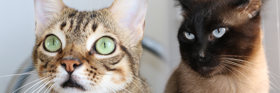 Hed_190's profile banner image