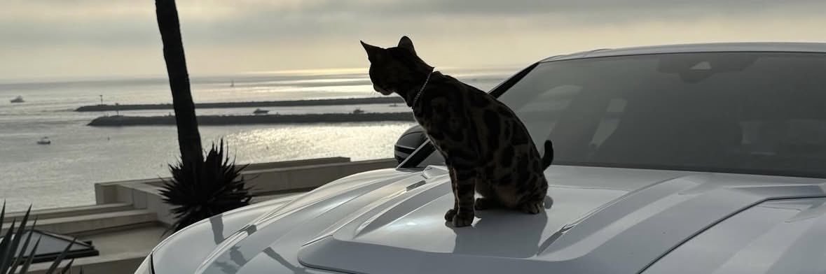 adunbixbt's profile banner image