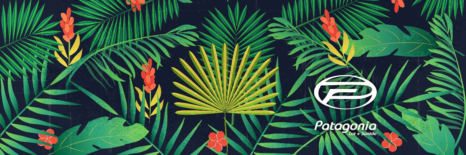 patagonialys's profile banner image