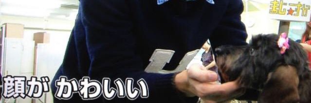 loves1miya's profile banner image