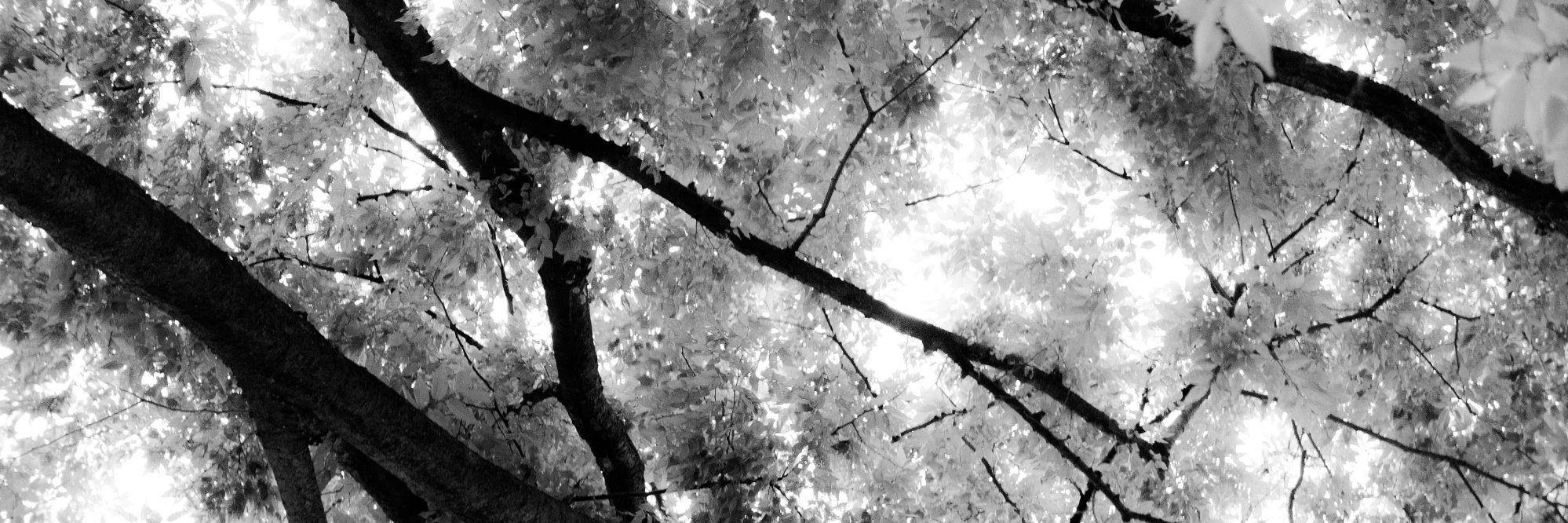 Ben - @mcarth@techhub.social banner