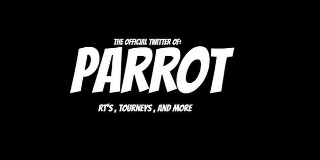 Parrot RT banner