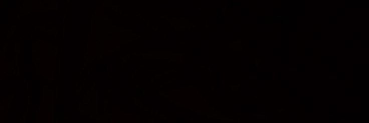 llsferr's profile banner image