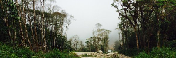 jorgelpino Profile Banner