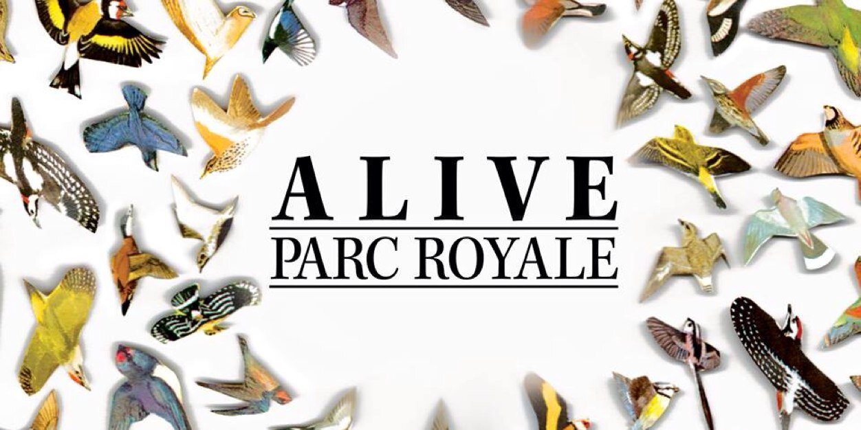 parcroyaleuk's profile banner image