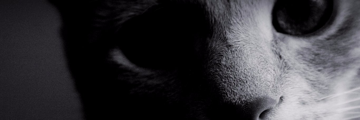 basik222's profile banner image