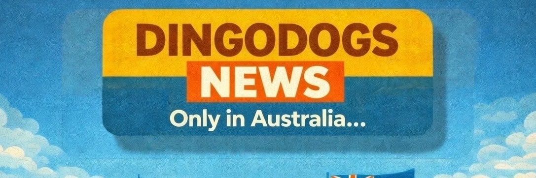 DingodogsNews's profile banner image