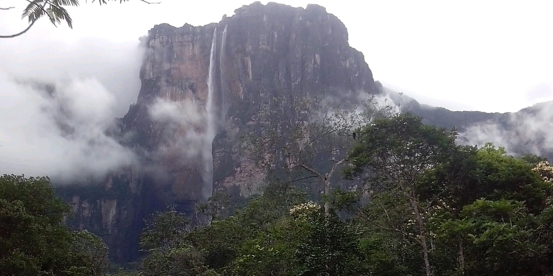 tours_canaima's profile banner image