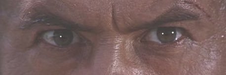 Champlooo's profile banner image