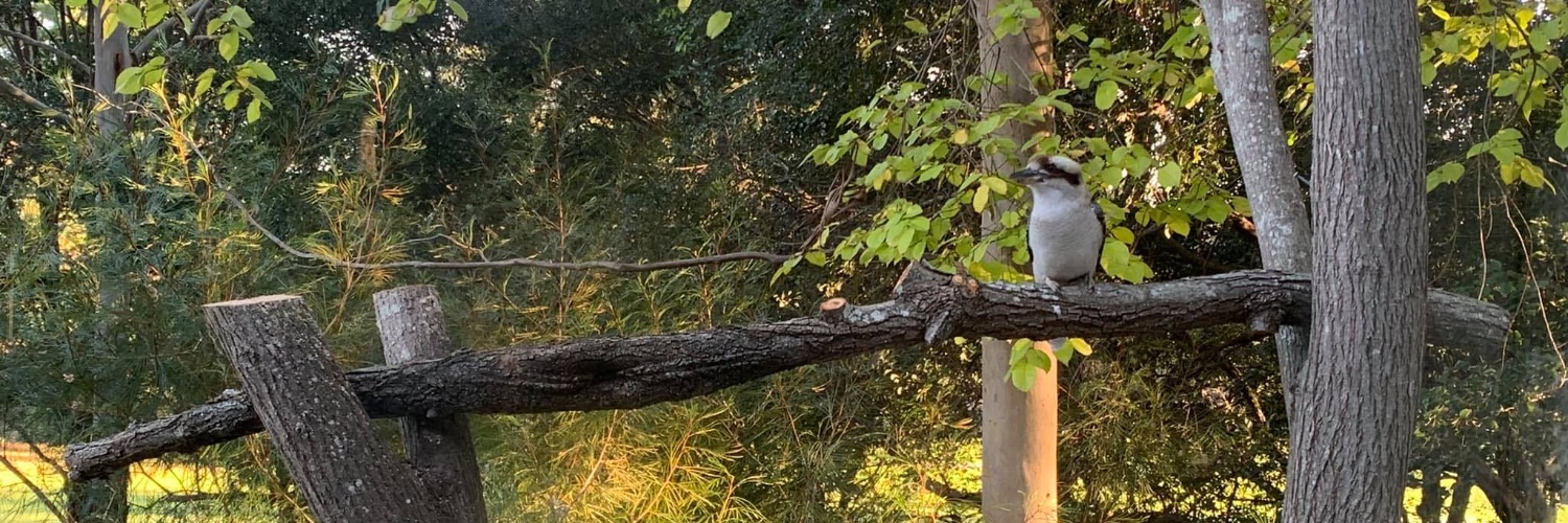 Jonathan Herrman banner