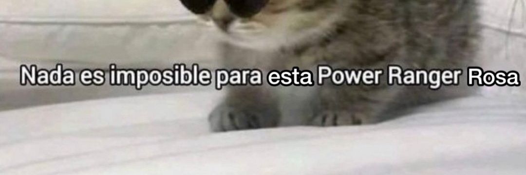 Aleja_978's profile banner image
