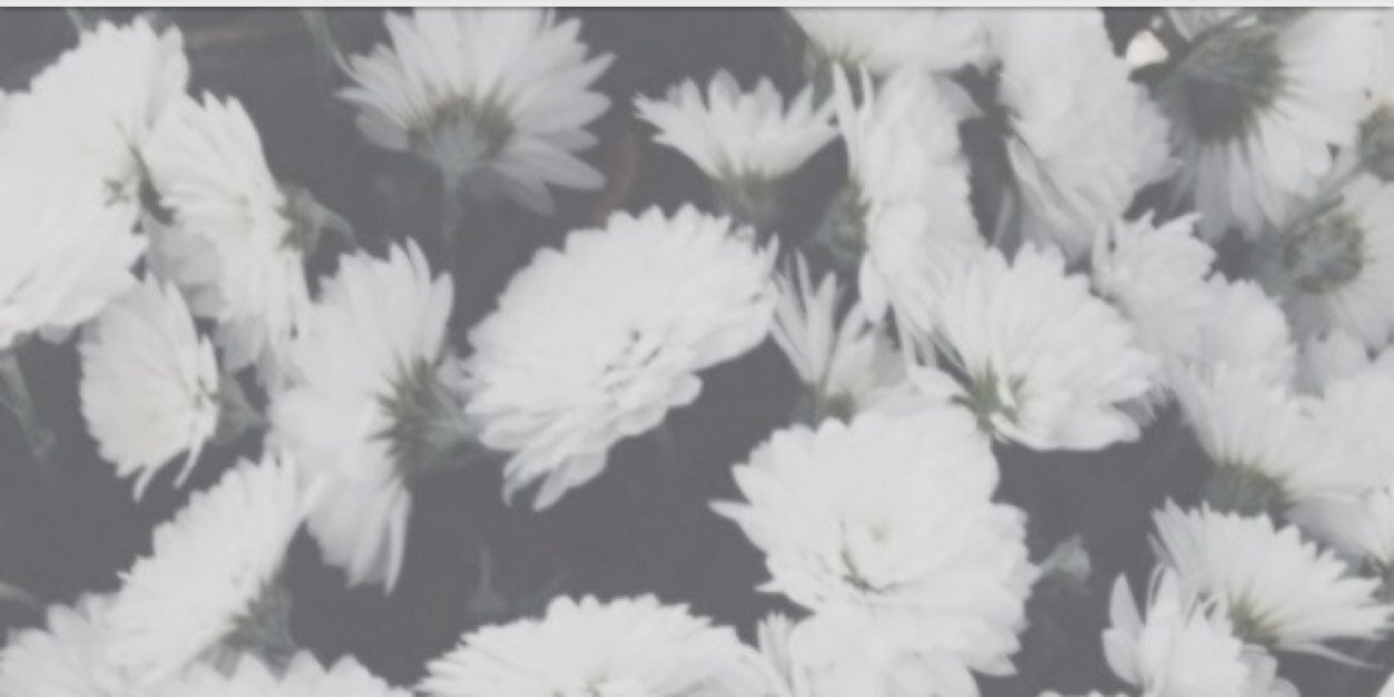strawbcrries's profile banner image