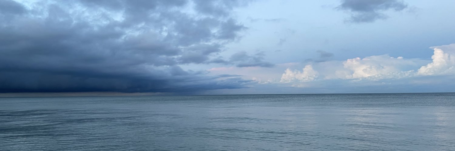 borraborra's profile banner image
