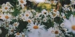 arisallgdr's profile banner image