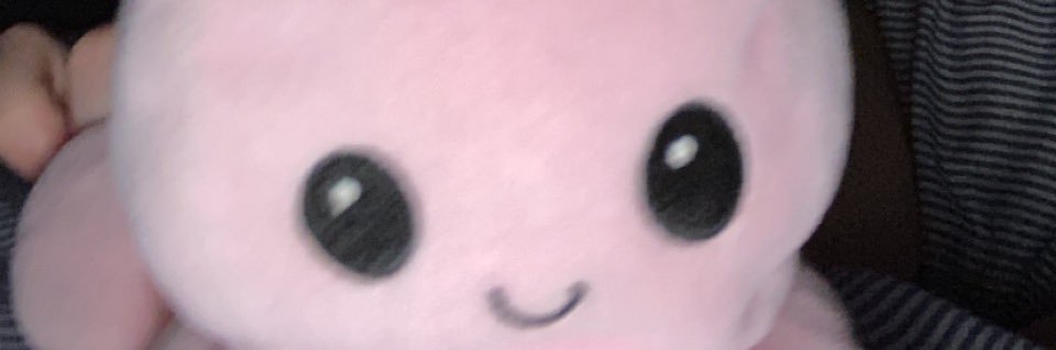 lozpolz's profile banner image