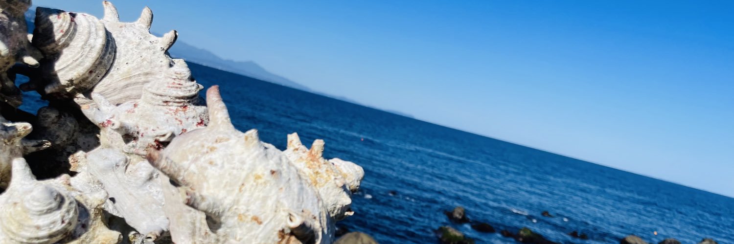 hshs_dkdk's profile banner image