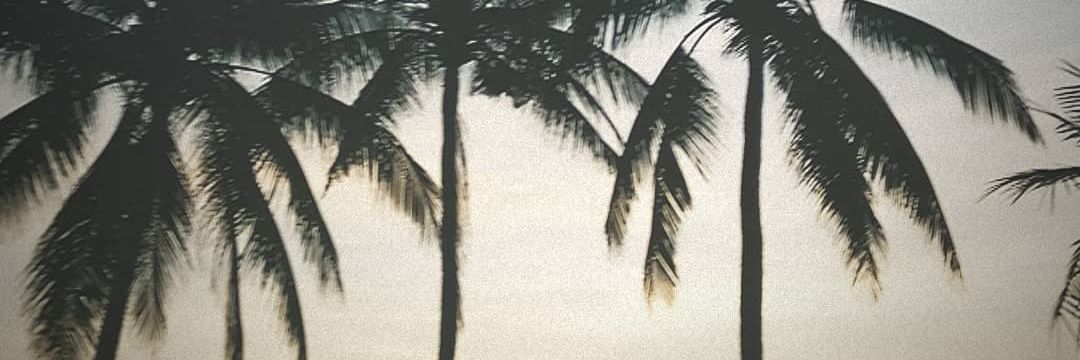 heybayu's profile banner image