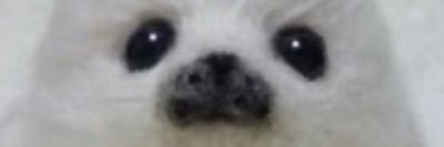 zeerkhan69's profile banner image