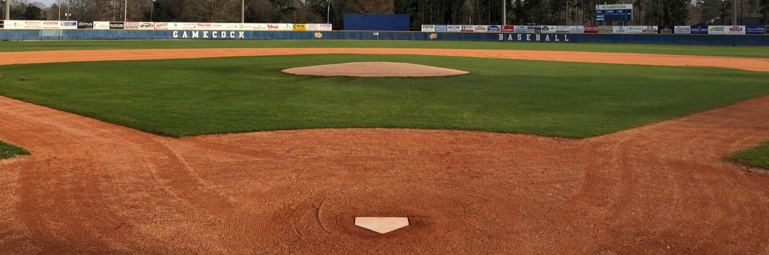 Sumter Baseball banner