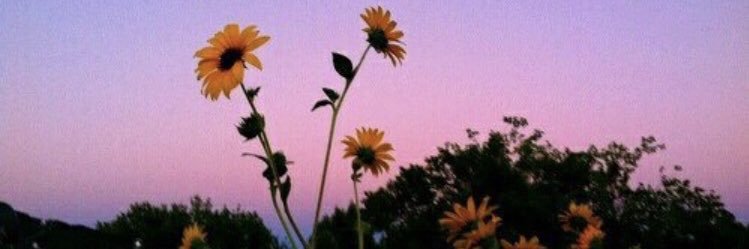 Liv_Mariex's profile banner image