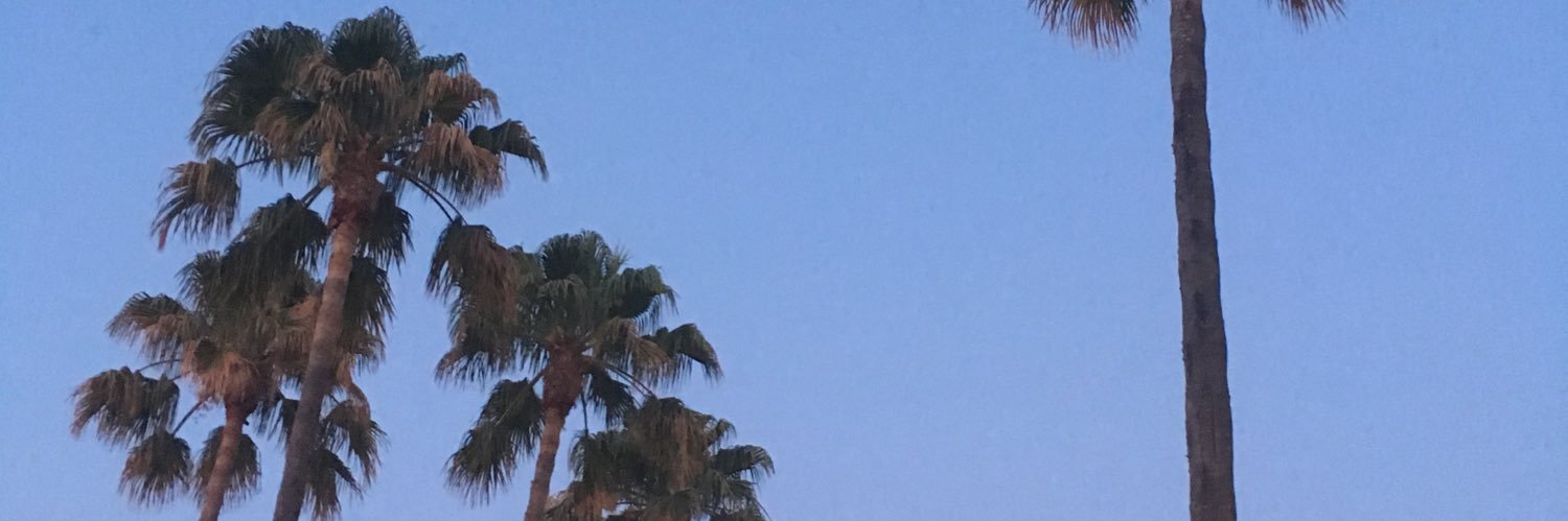 roseyf30's profile banner image