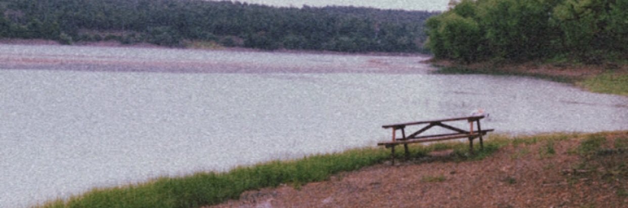 mlh_dzgn's profile banner image