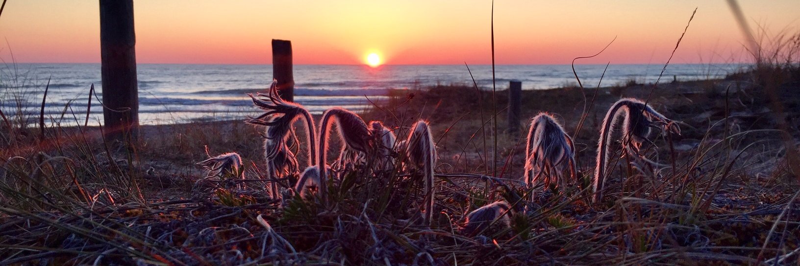 Jānis Geste 🇱🇻 banner