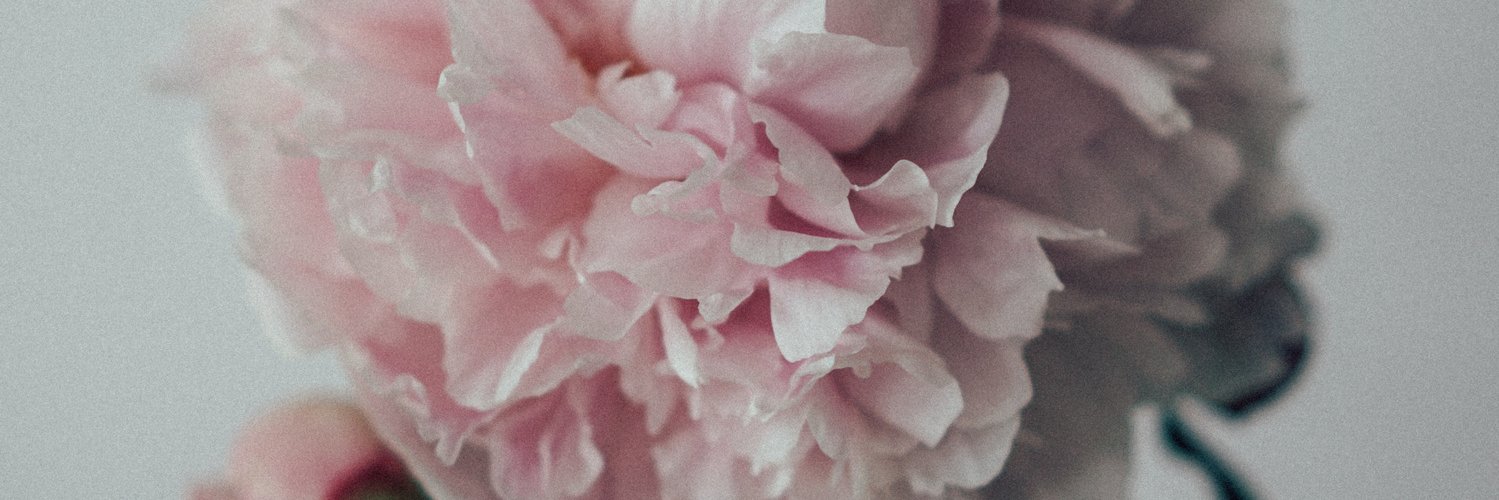 precursoeurs's profile banner image